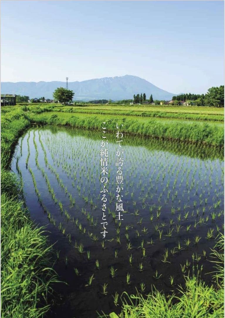 米　白米【令和7年産岩手県産ひとめぼれ20kg】 (5kg×4)モチモチ柔らか！