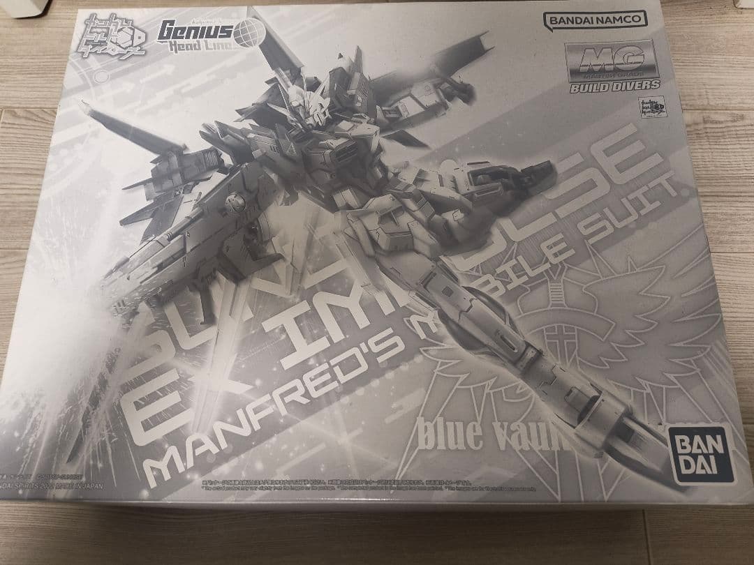 MG ガンダム エクスインパルス 未組立