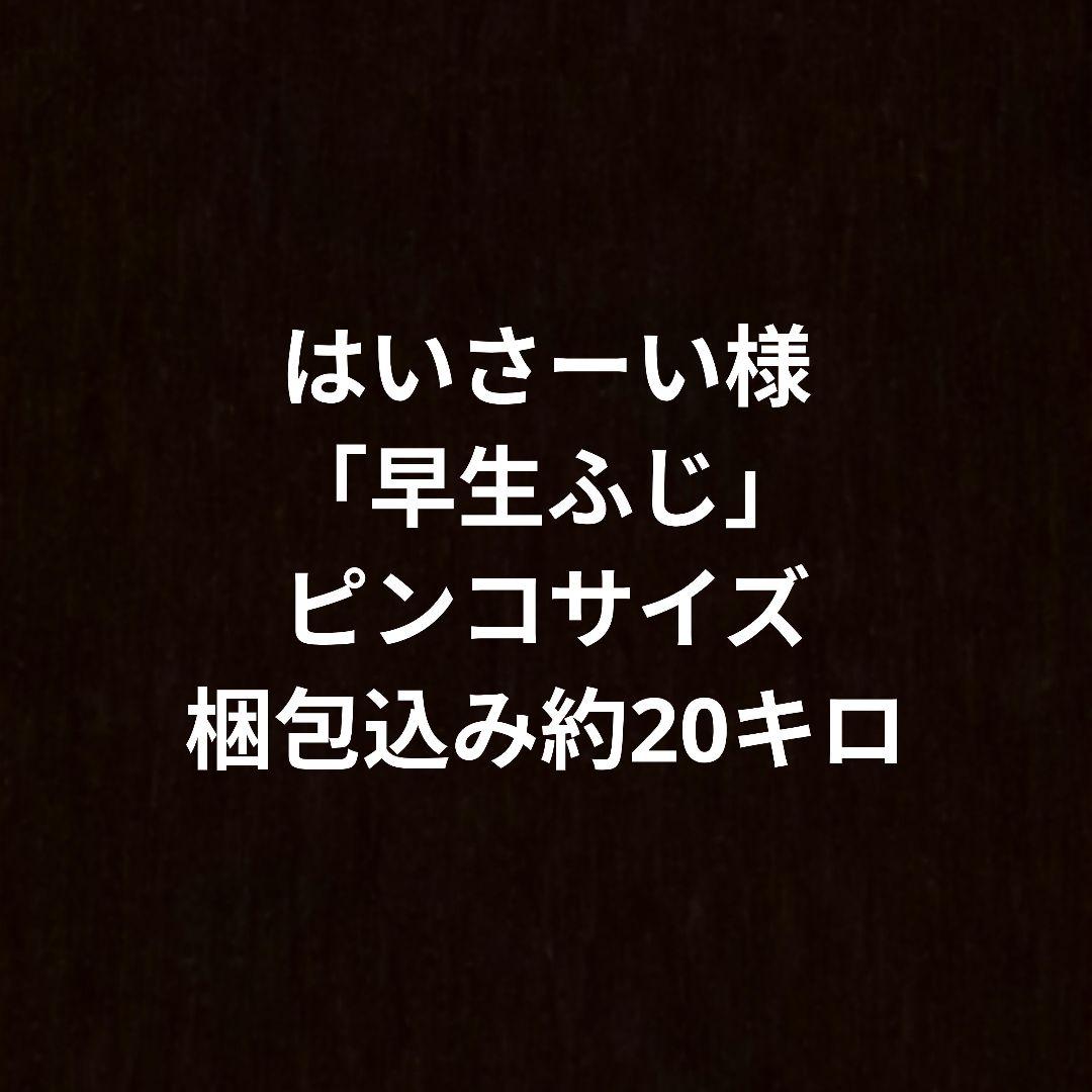 はいさーい様 20K