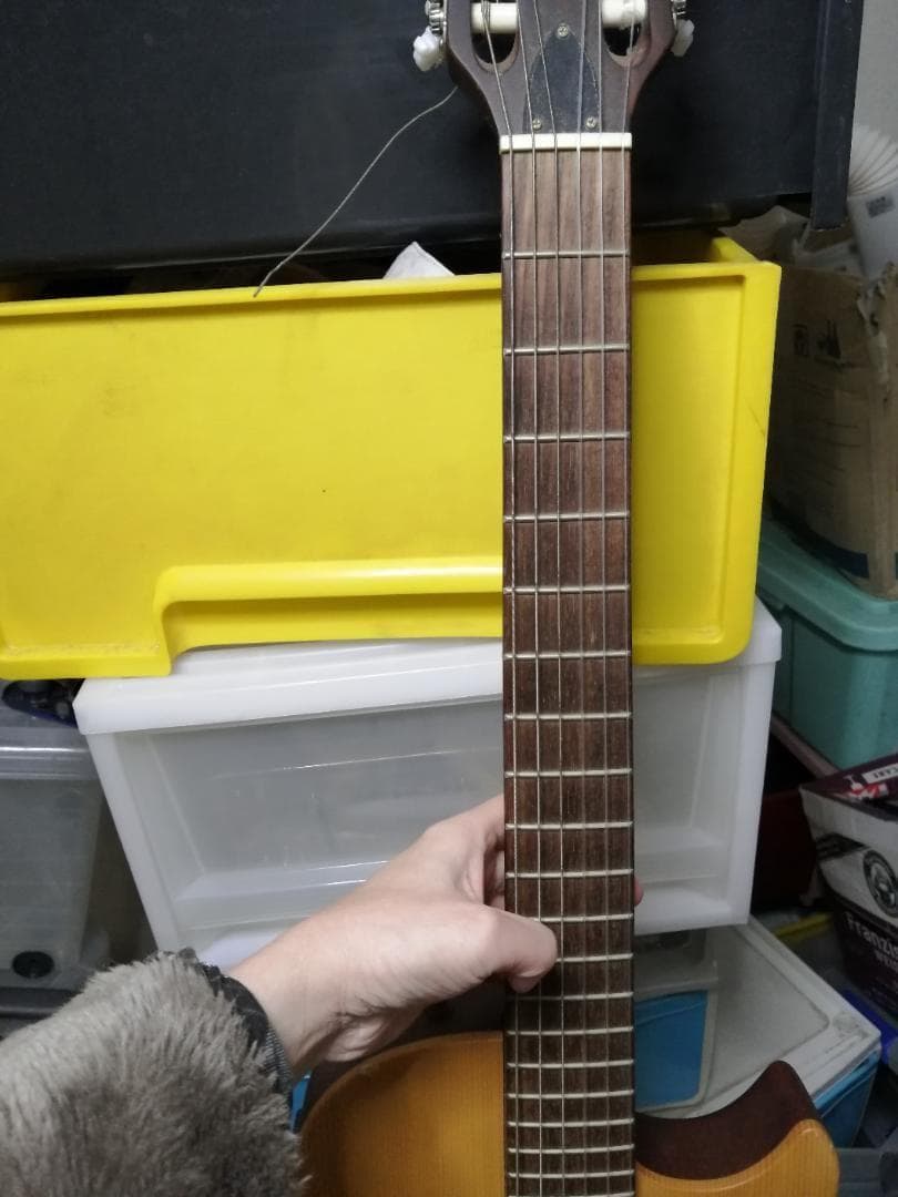 PLAYTEC EC800 エレガットギター ソリッドボディー