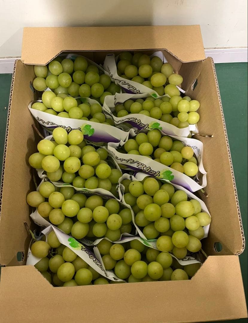 シャインマスカット 5キロ箱