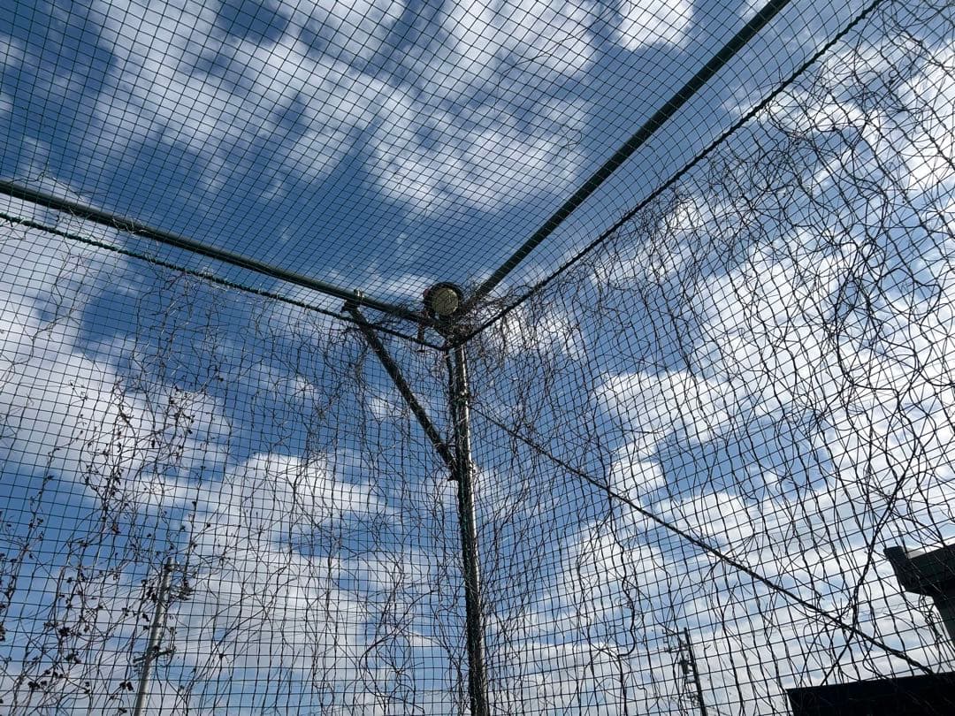 大型バッティングゲージ