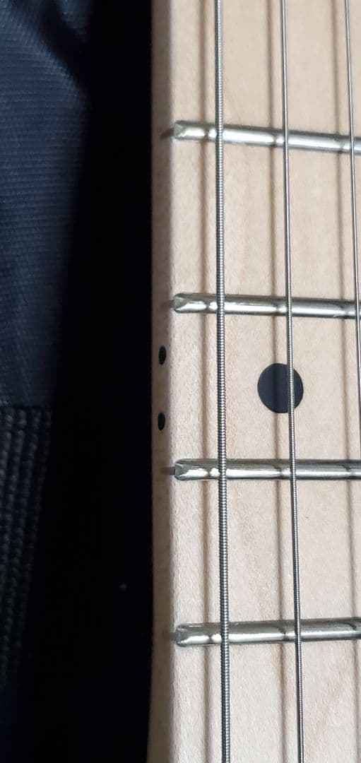 【調整済】SELDER セルダー テレキャスタイプ TL-17 サーフグリーン