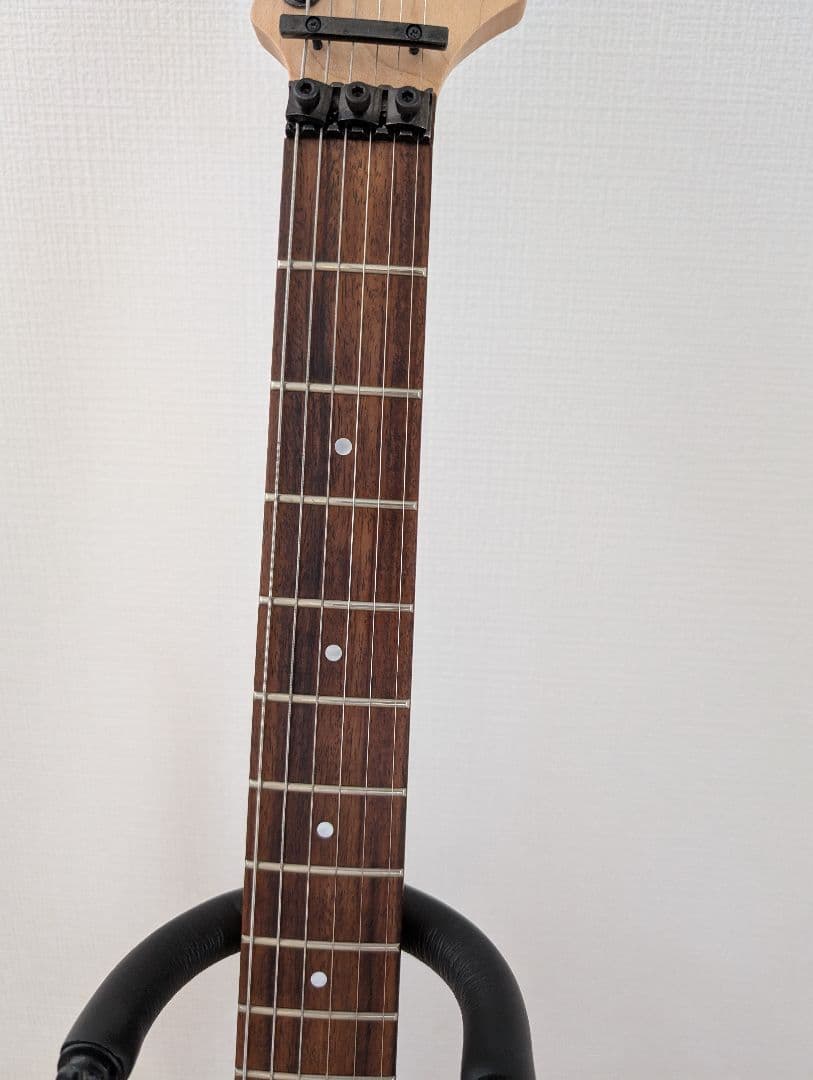 美品　Fernandes FR-DLX JPC サステイナー 2011年