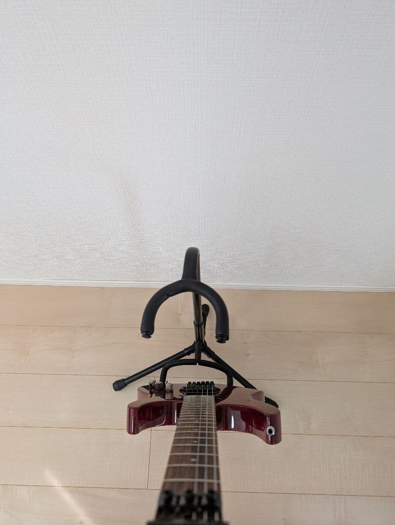 美品　Fernandes FR-DLX JPC サステイナー 2011年