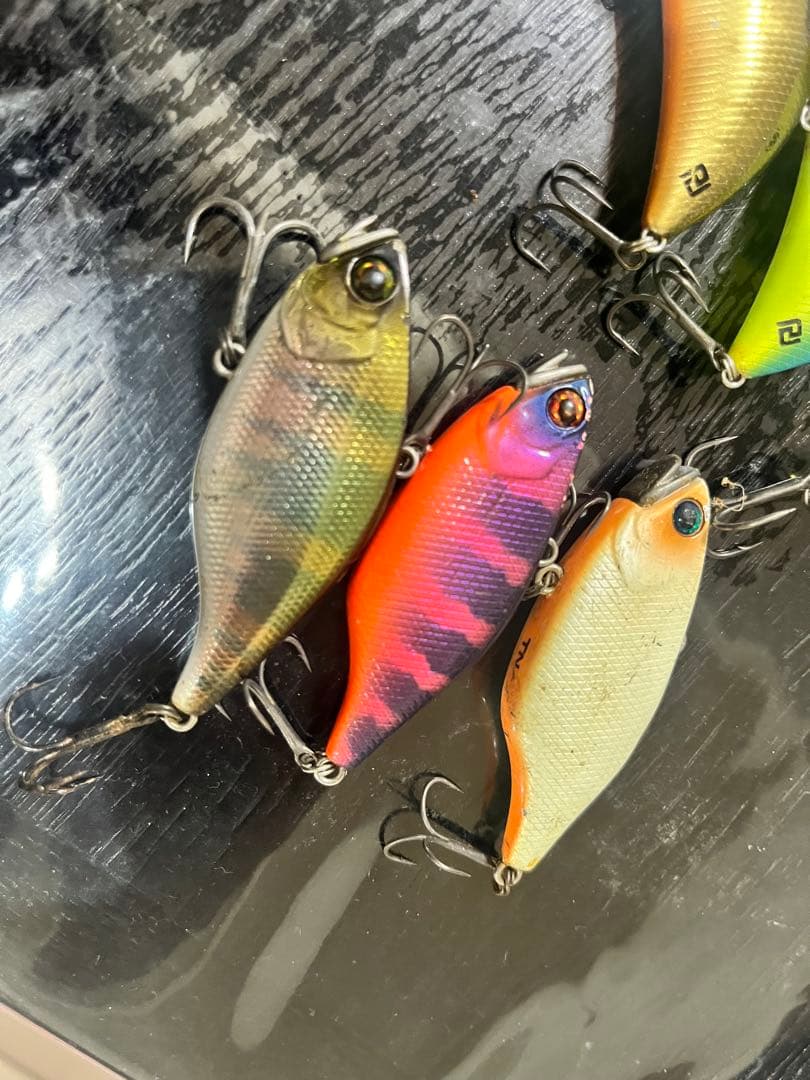 レベルバイブ、TN60、トリゴン、スマトラセット