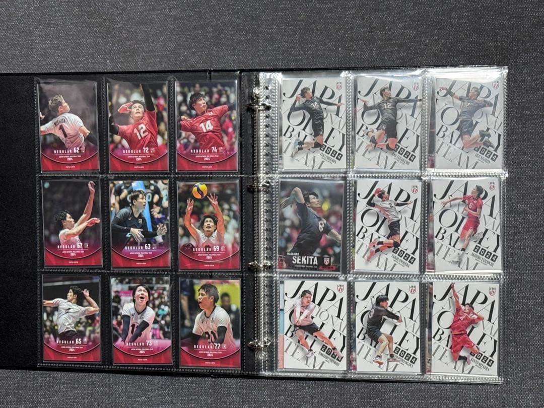 男子バレー 日本代表チーム 直筆サイン入り 金箔サイン カードセット