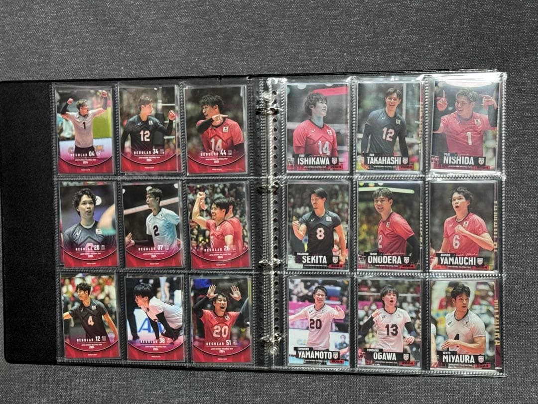 男子バレー 日本代表チーム 直筆サイン入り 金箔サイン カードセット