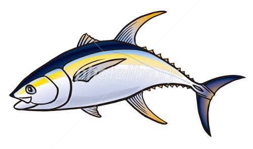 オリジナルシャツ