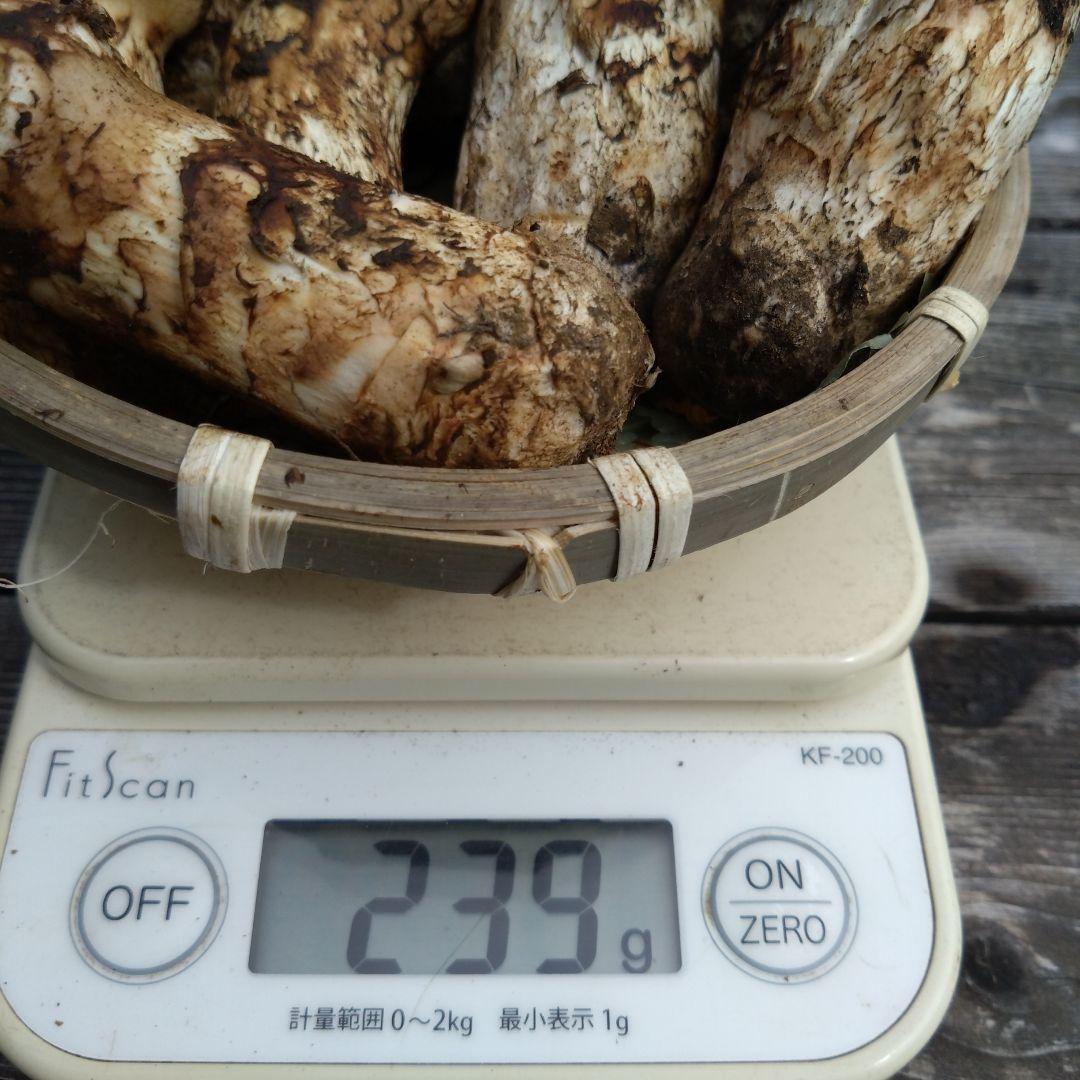 岩手県産マツタケ239g傷あり