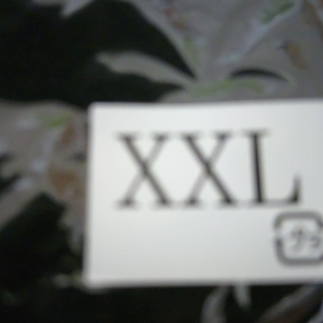 武藤ベアージップパーカー