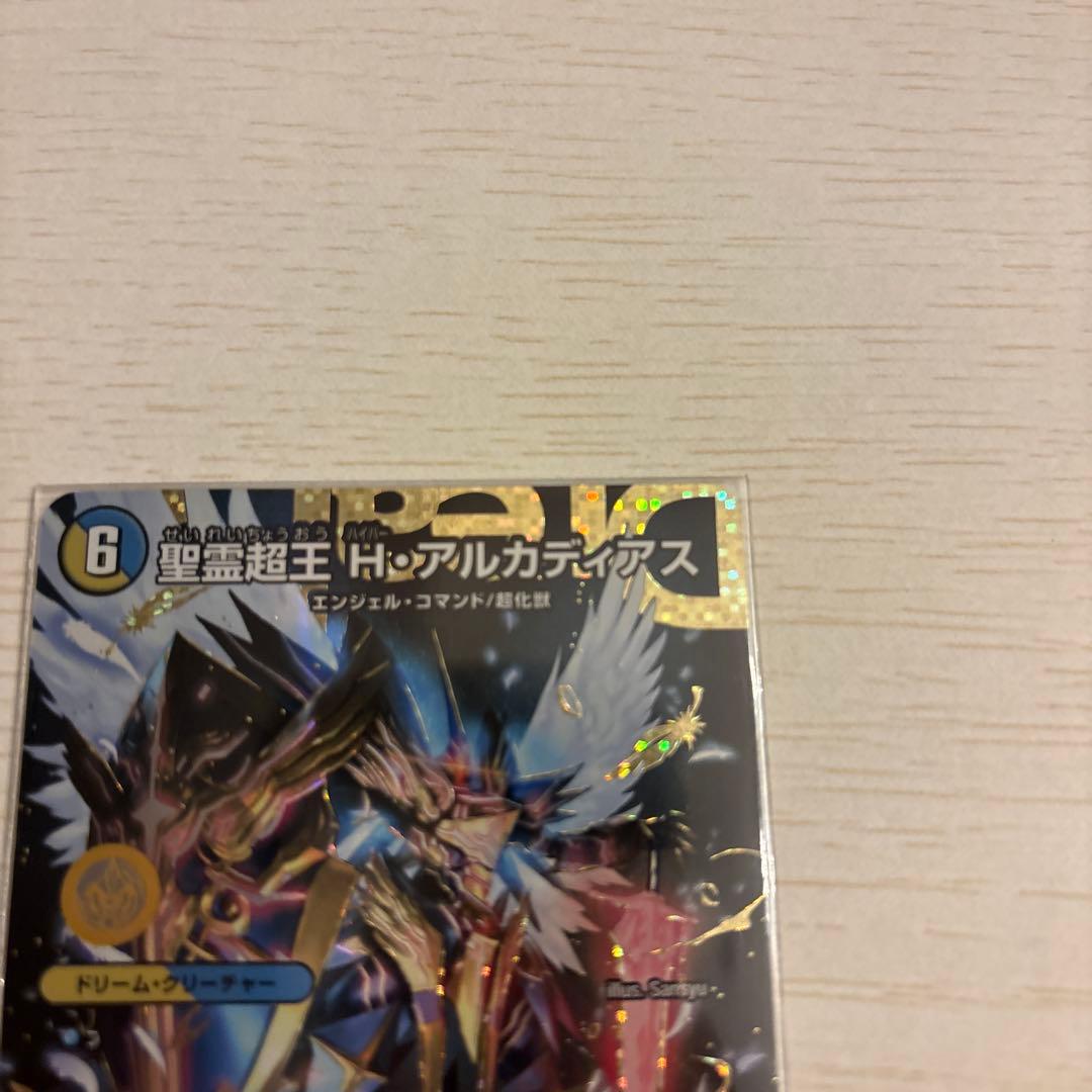 聖霊超王 H ・アルカディアス　シークレット