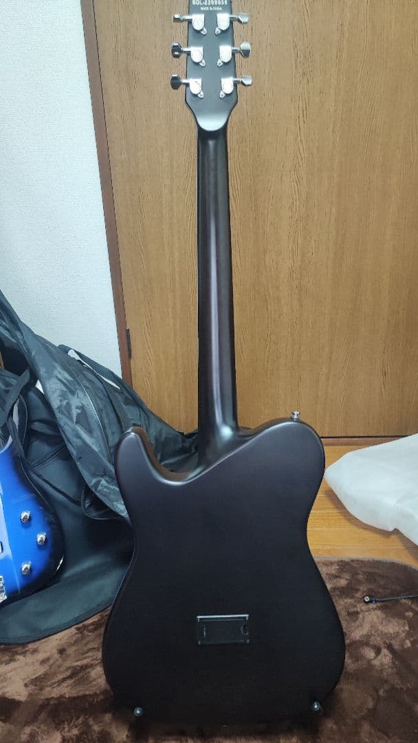 シェクターOL-FL-SBB