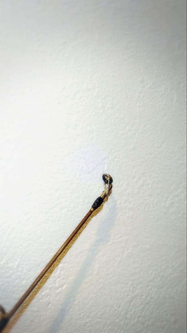 希少★ MEGA BASS PAGANI AIR BAMBOO パガーニ 天竺