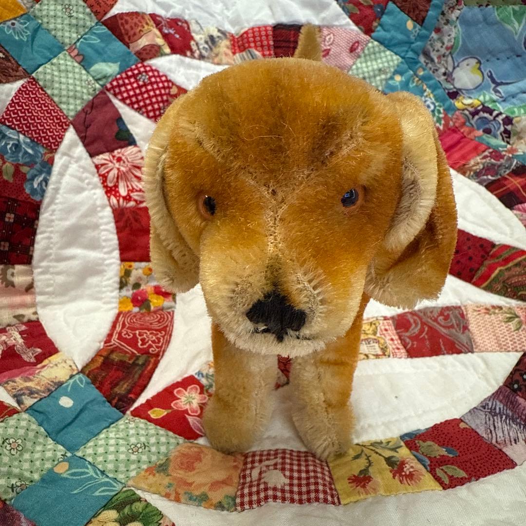 シュタイフsteiffアンティークダックスフンド