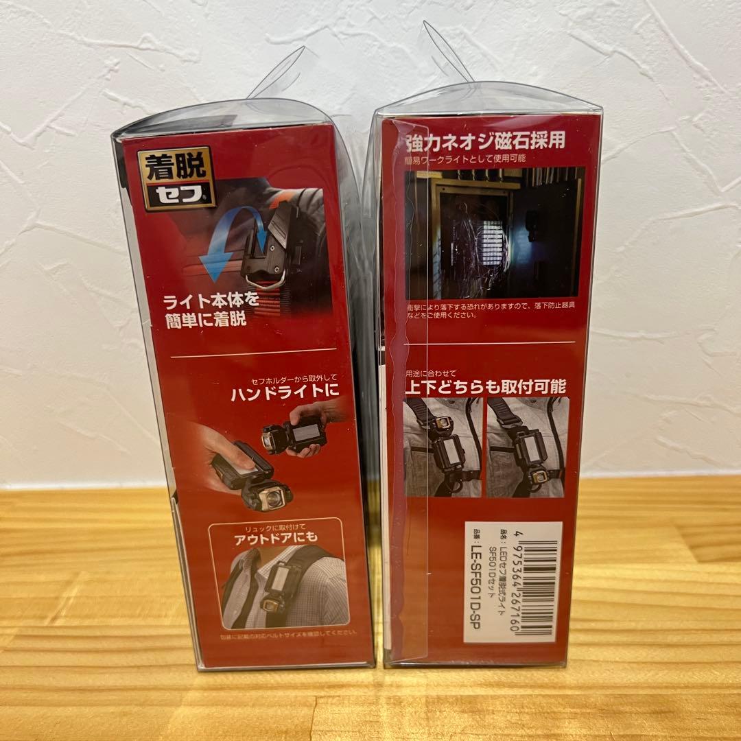 TAJIMA LES-50D1-DSP LEDライト　　2個