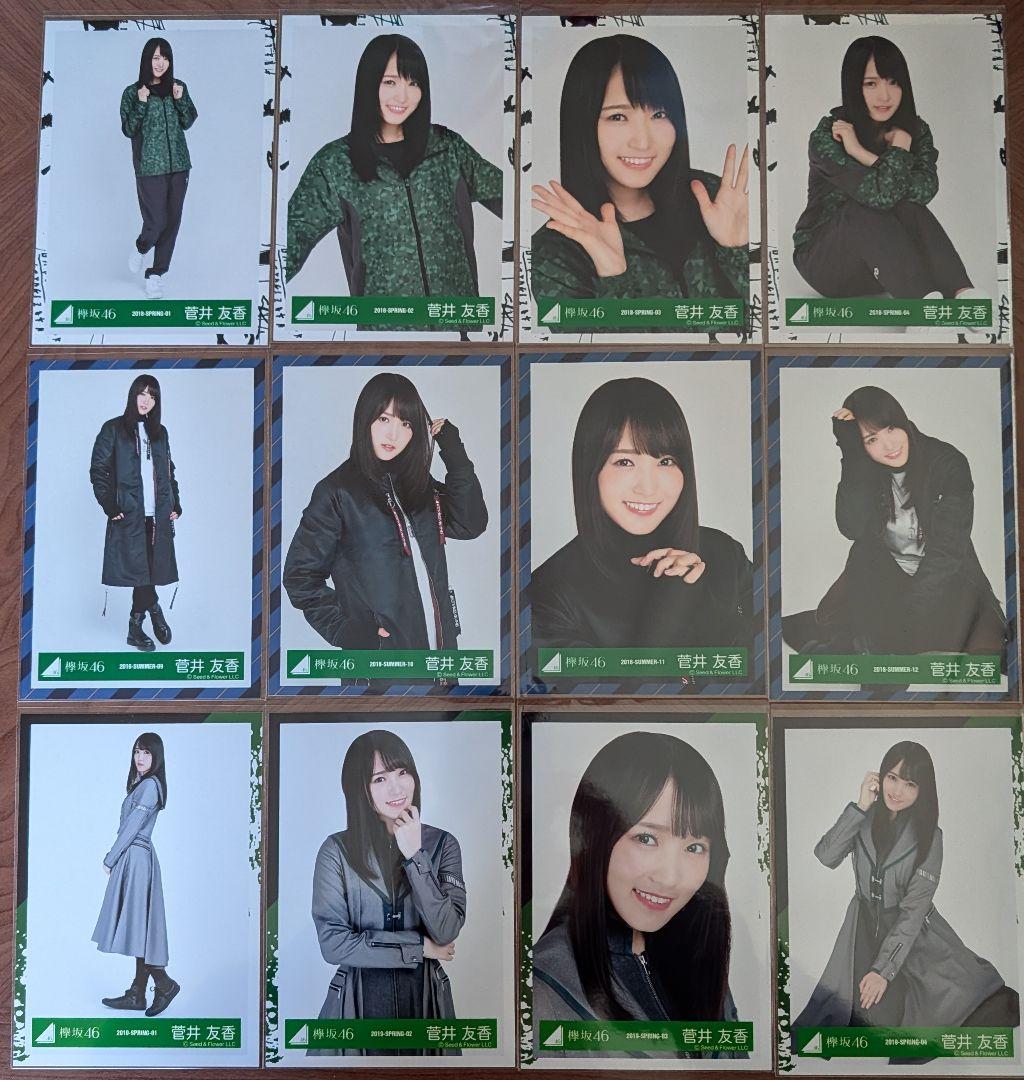 欅坂46 菅井友香 生写真 24コンプ まとめ売り