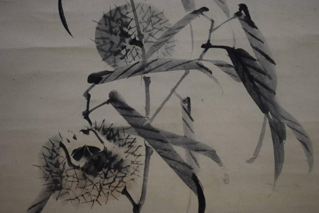 真作/松村景文/枝栗/紅柿図/桐題箱付/布袋屋掛軸HI-242