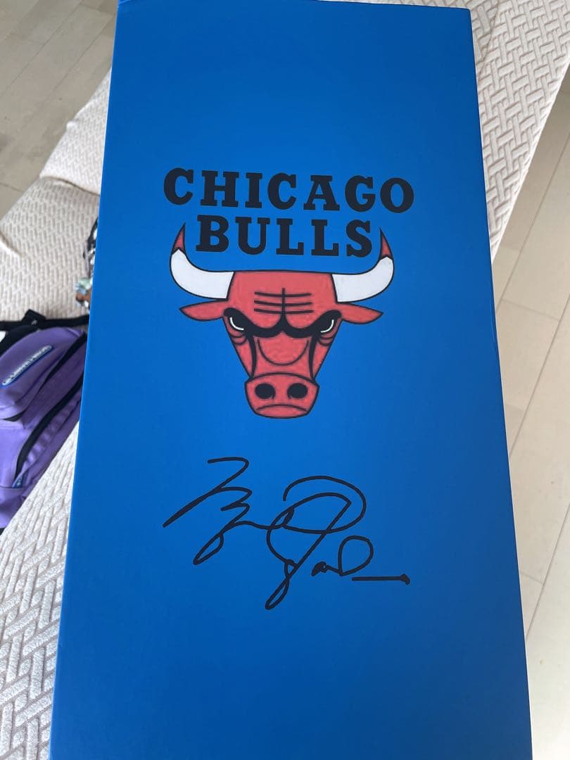 マイケル・ジョーダン　1/6 フィギュア　NBA