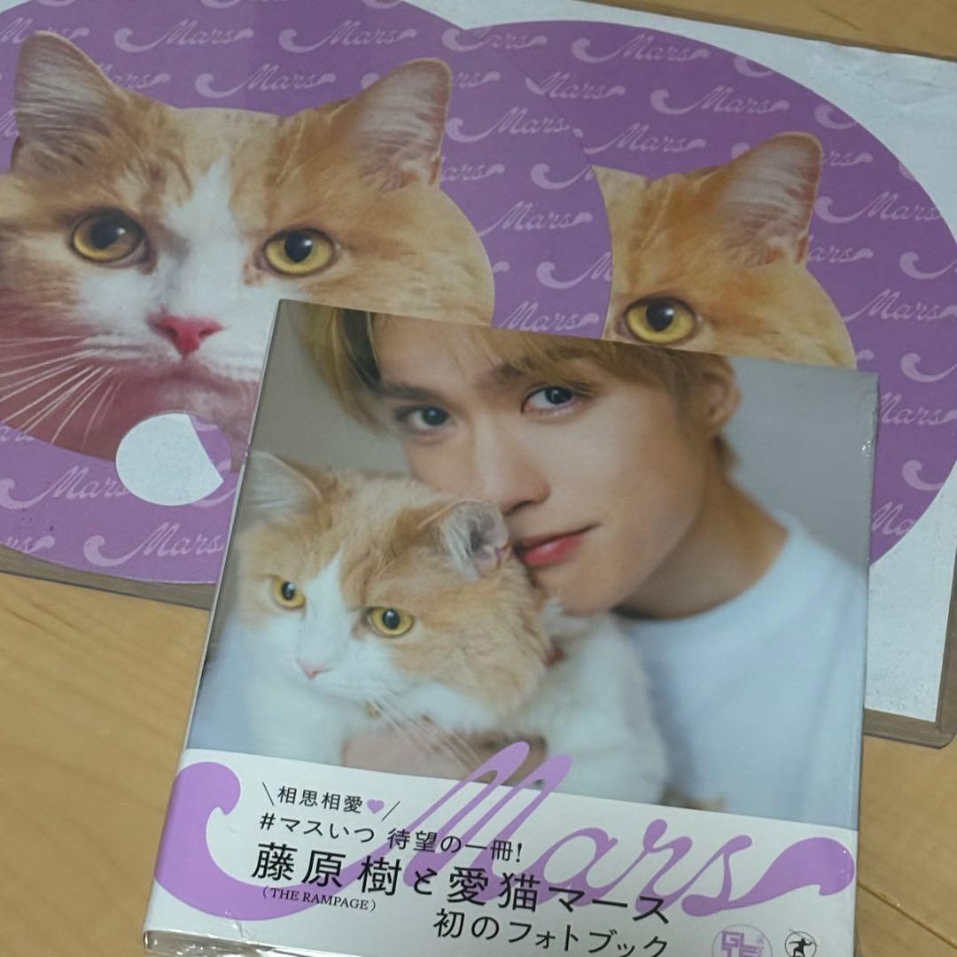 藤原樹 Mars サイン入りうちわ みー