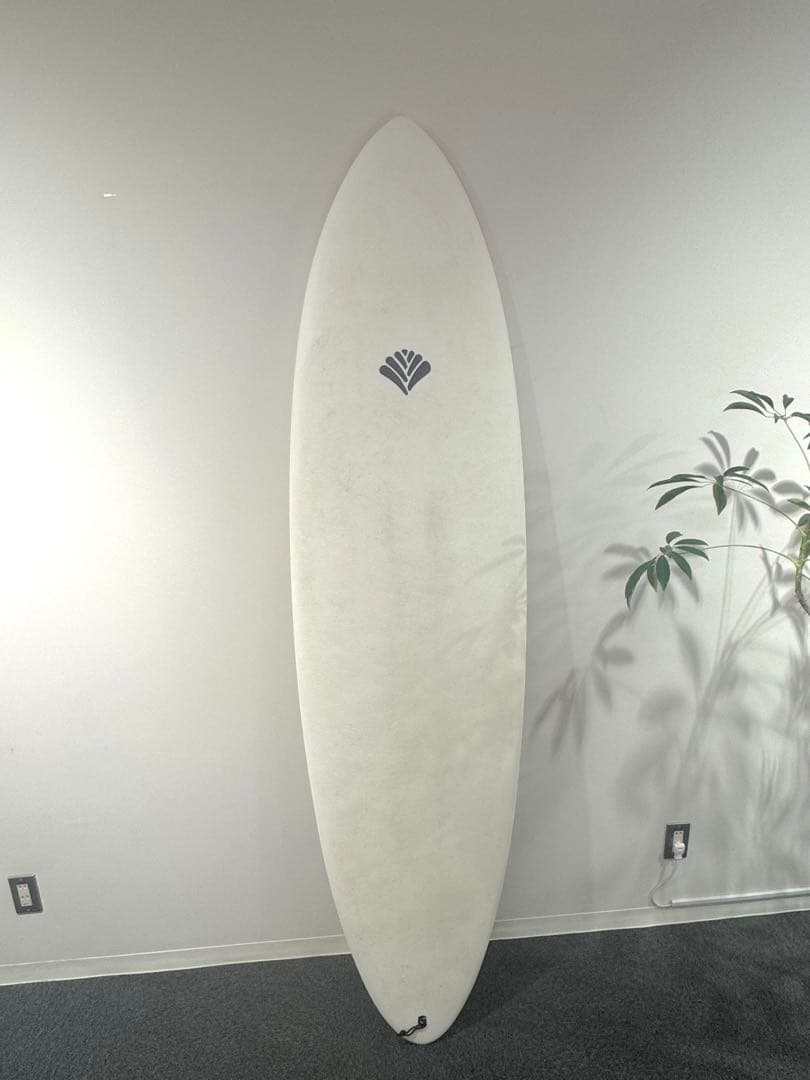 Beach Access / Standard ソフトボード 7’0”セット