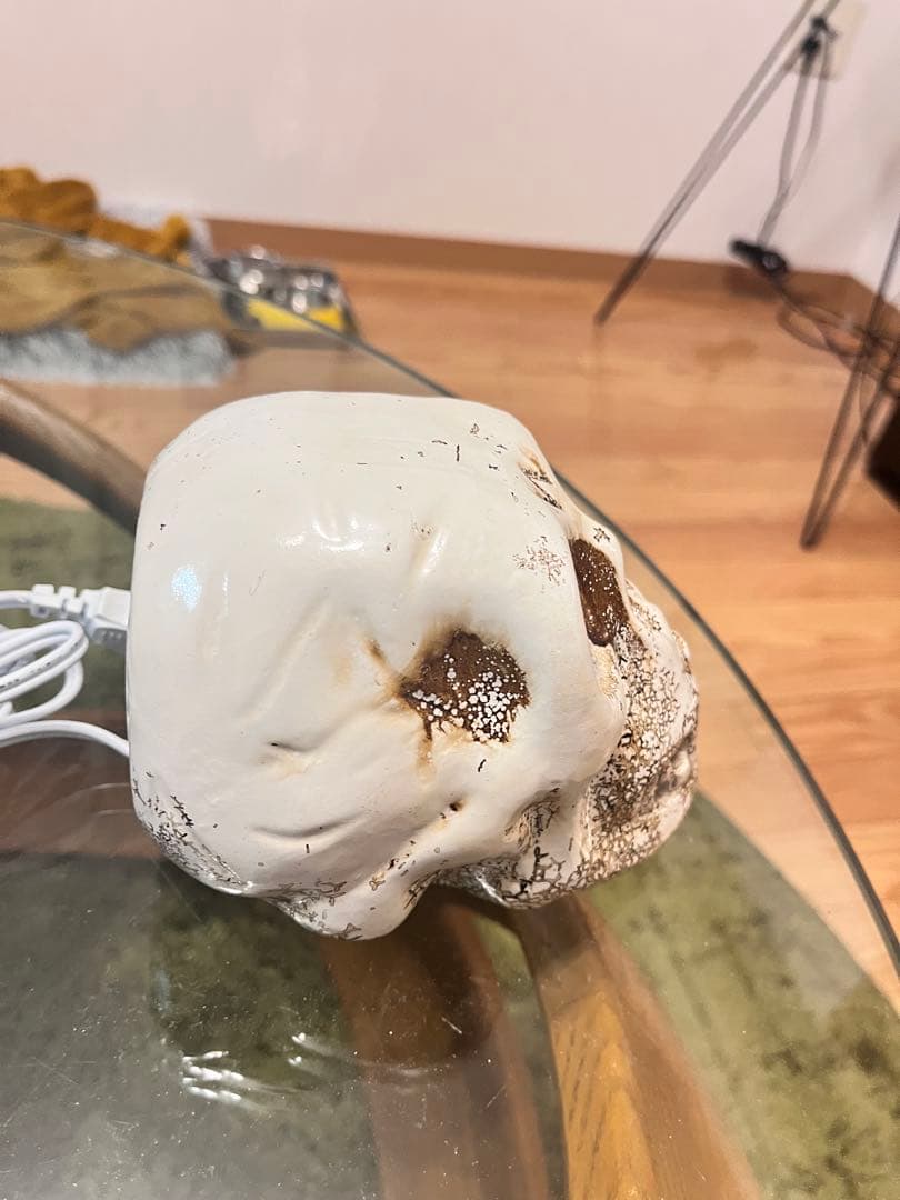 ビンテージ骸骨ライト　間接照明　セット販売