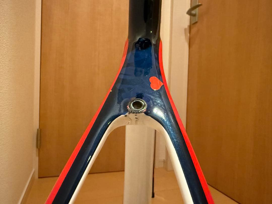 DE ROSA IDOL REVOカラー　フルカーボンフレームセット