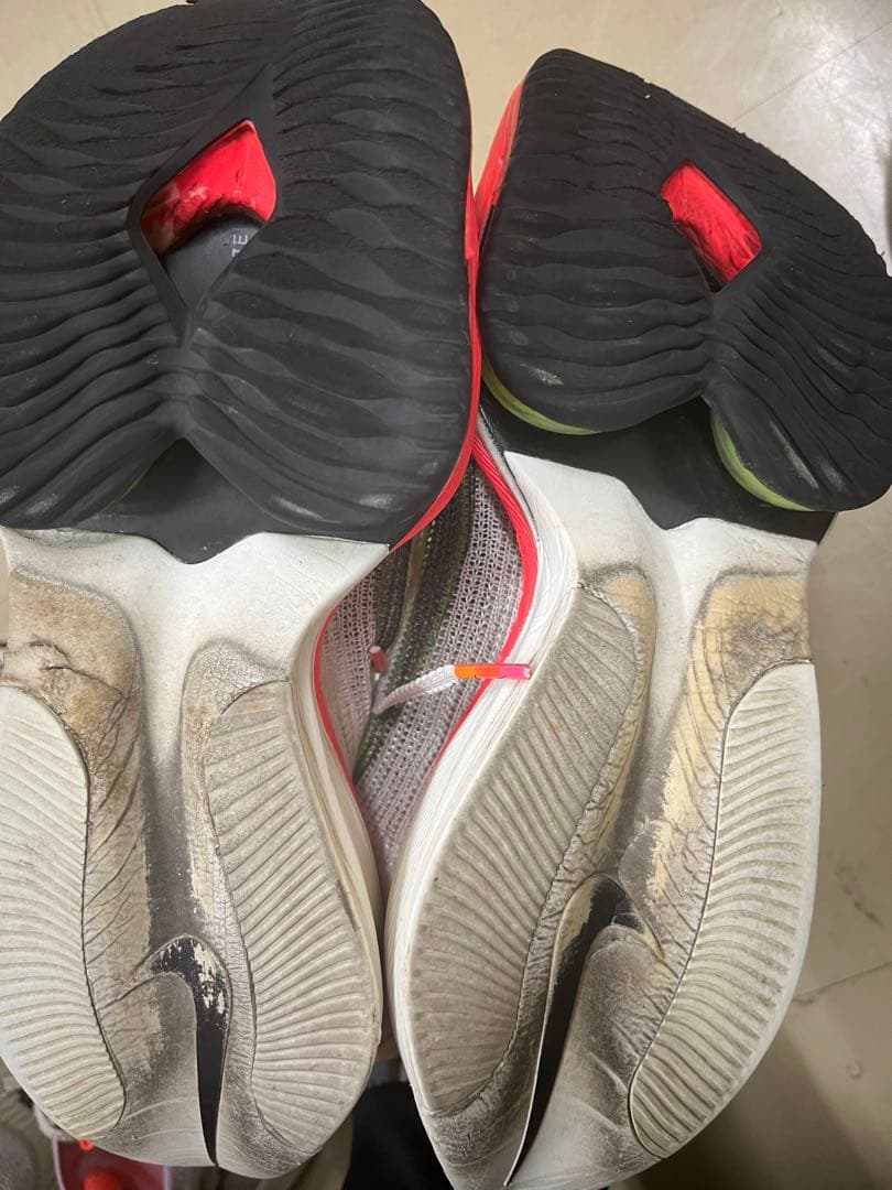 アルファフライ　25.5