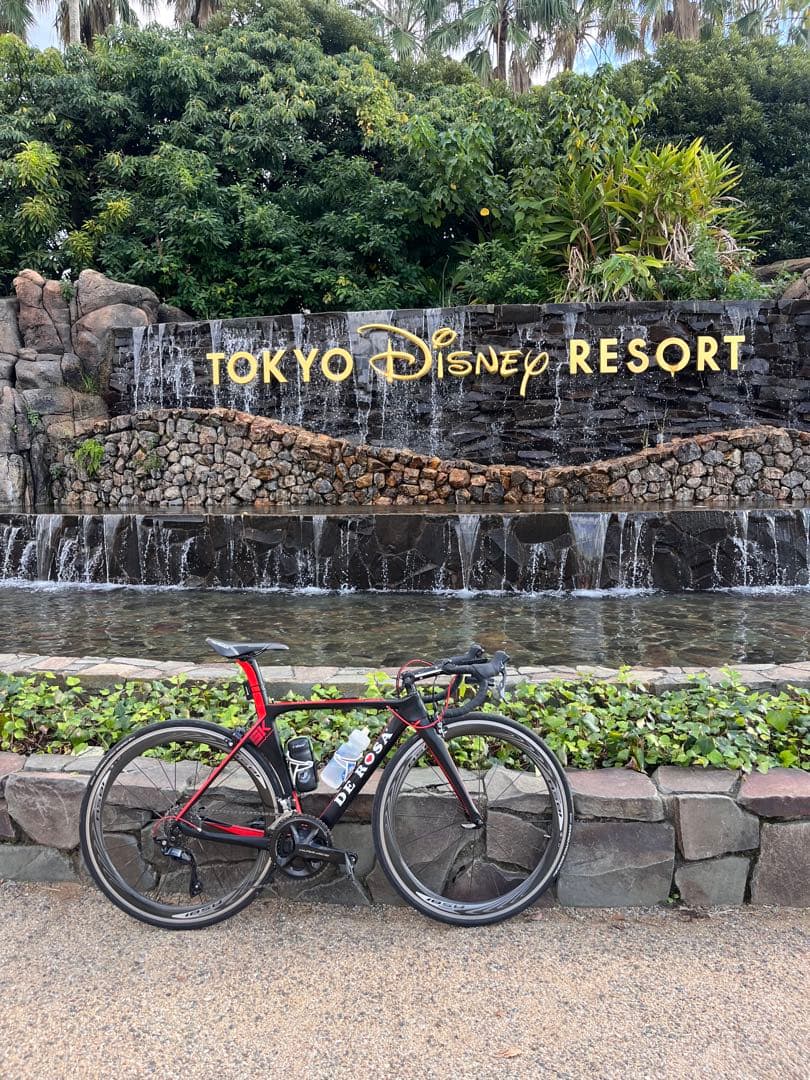 DE ROSA sk フレームセット　ジャンク