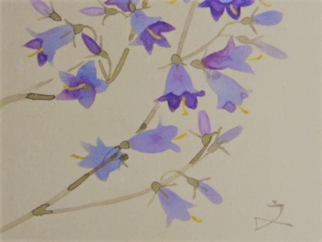 堀文子、【つりがねにんじん】、希少な画集画、新品高級額・額装付、状態美麗