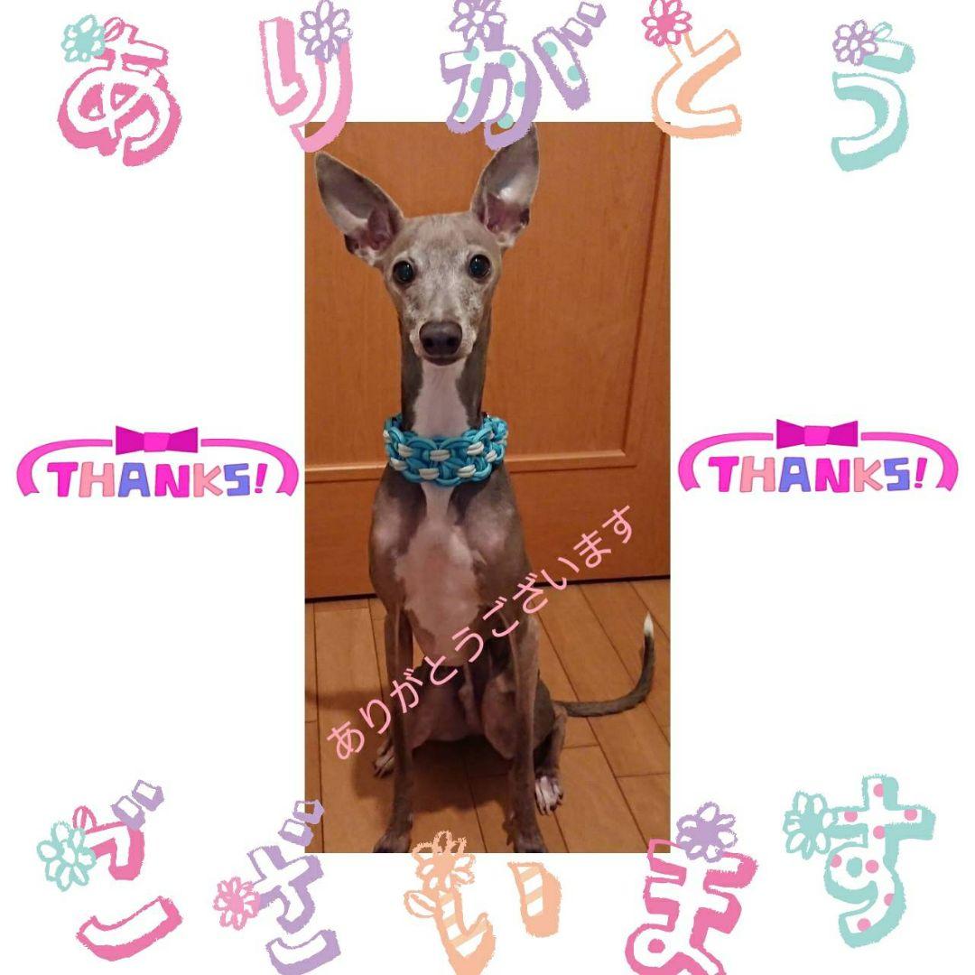 コトノハミドリさん専用です