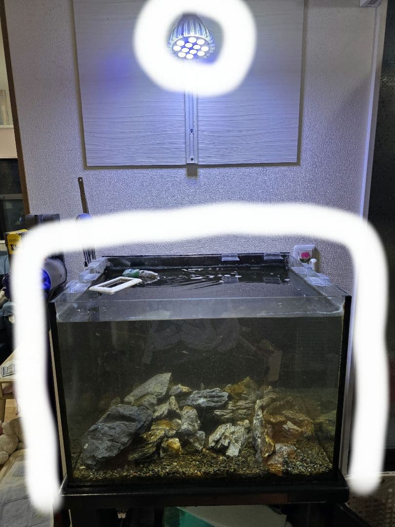 オーバーフロー水槽セット　マフィード