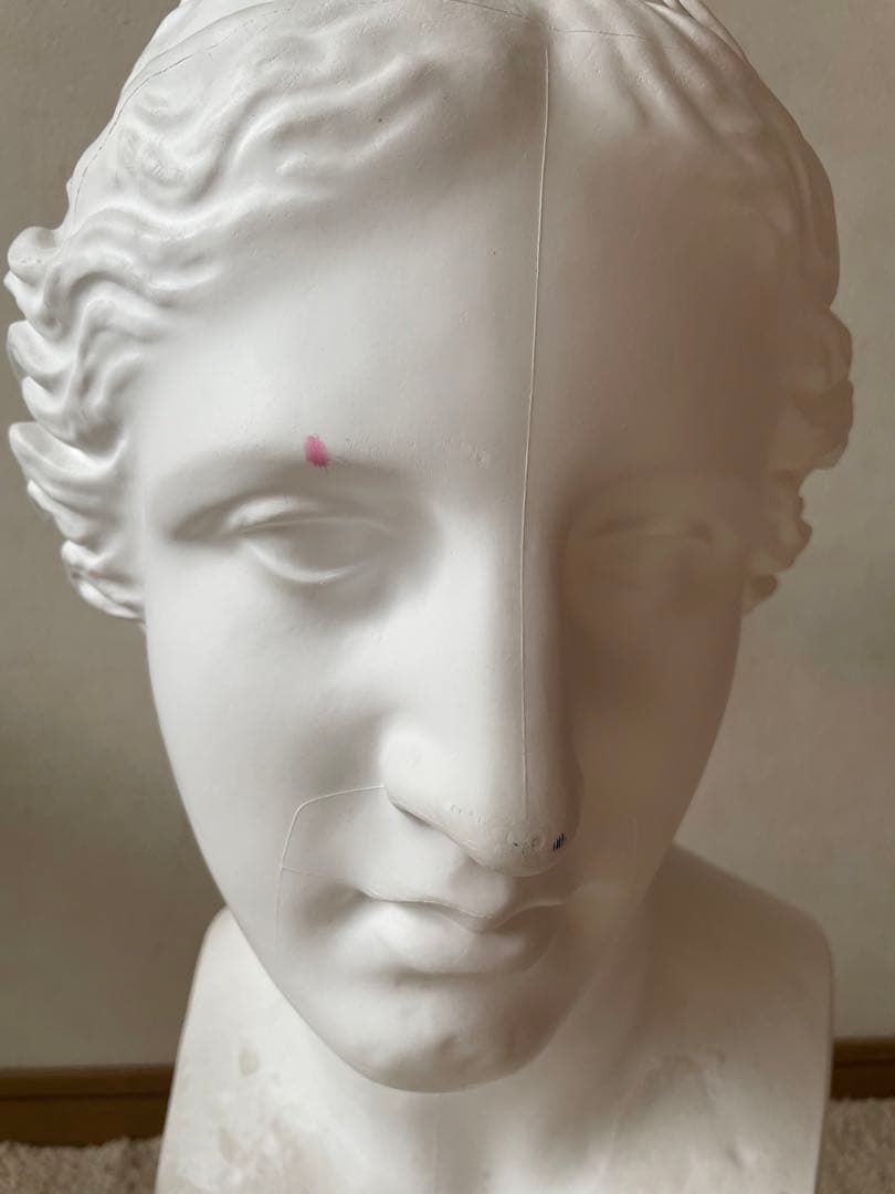 富士石膏像製作所　ヴィーナス像女性胸像 約60センチ