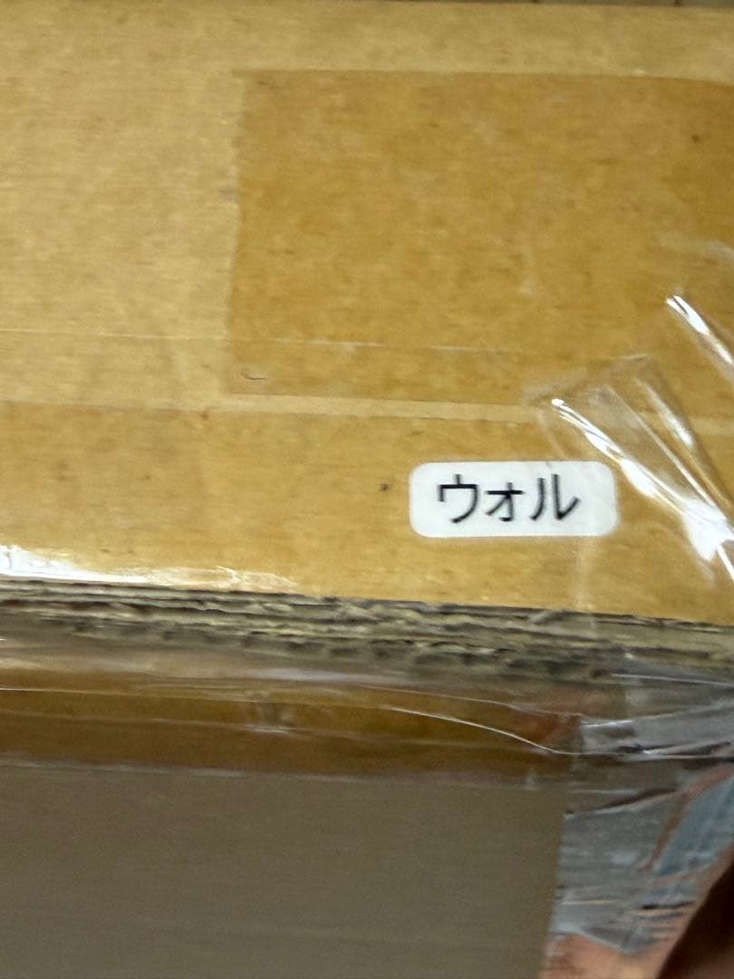 WHAT WE WANT WWW_SOLIDWOODSHELF ケース付