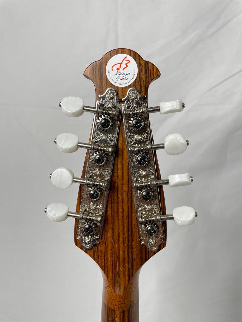 ASTURIAS/アストリアス MS-1bis マンドリン ケース付き