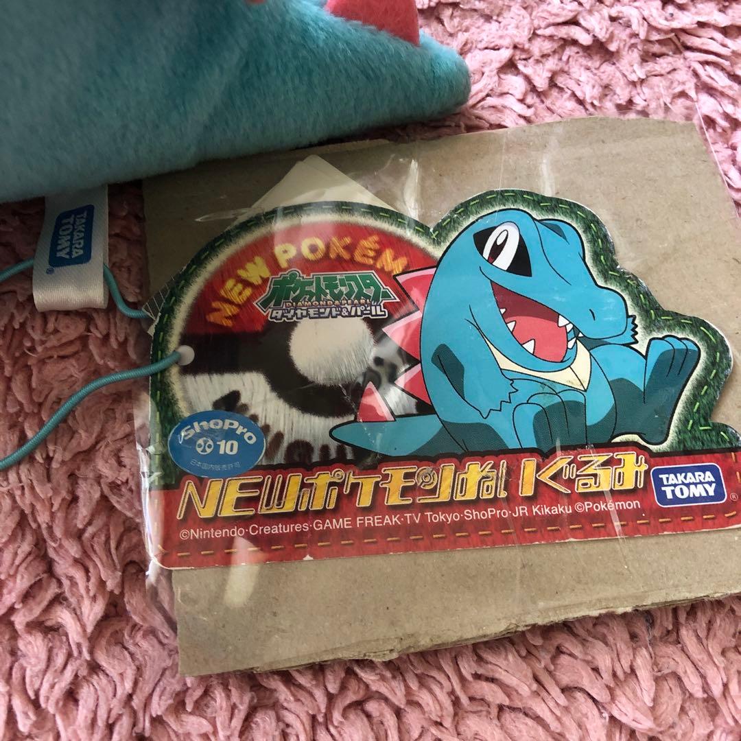 ポケットモンスター　NEWポケモン　ぬいぐるみ　ワニノコ