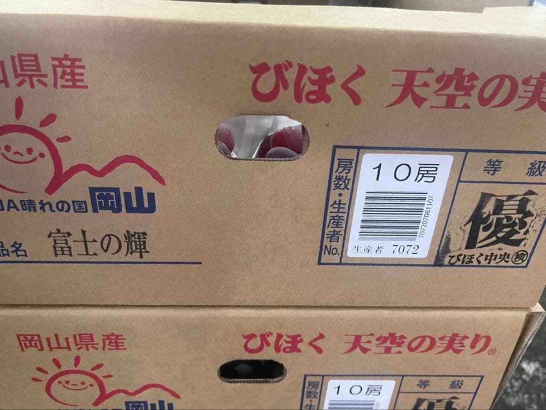 ⑥【岡山県産】富士の輝　10房 約5キロ