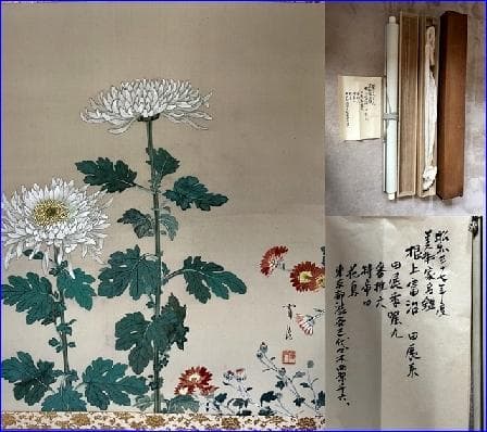 掛軸■根上富治【真作】菊花図 二重箱 絹本 肉筆 日本画 時代物 骨董品■25