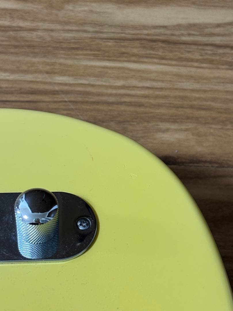 Grass roots G-TE-50R ストラップ、ソフトケース付き