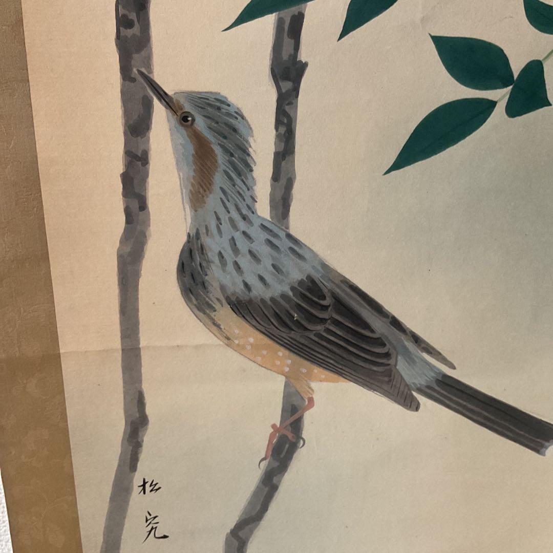 松究作 絹本彩色画 【 南天にヒヨドリ図 】 作者詳細不詳 自題共箱