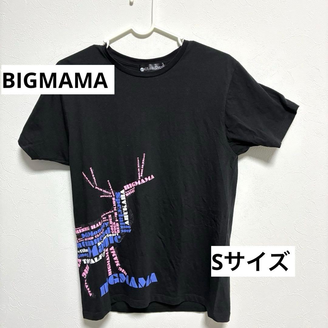 金井政人 BIGMAMA 10周年 ビッグママ ライブツアー Tシャツ Sサイズ