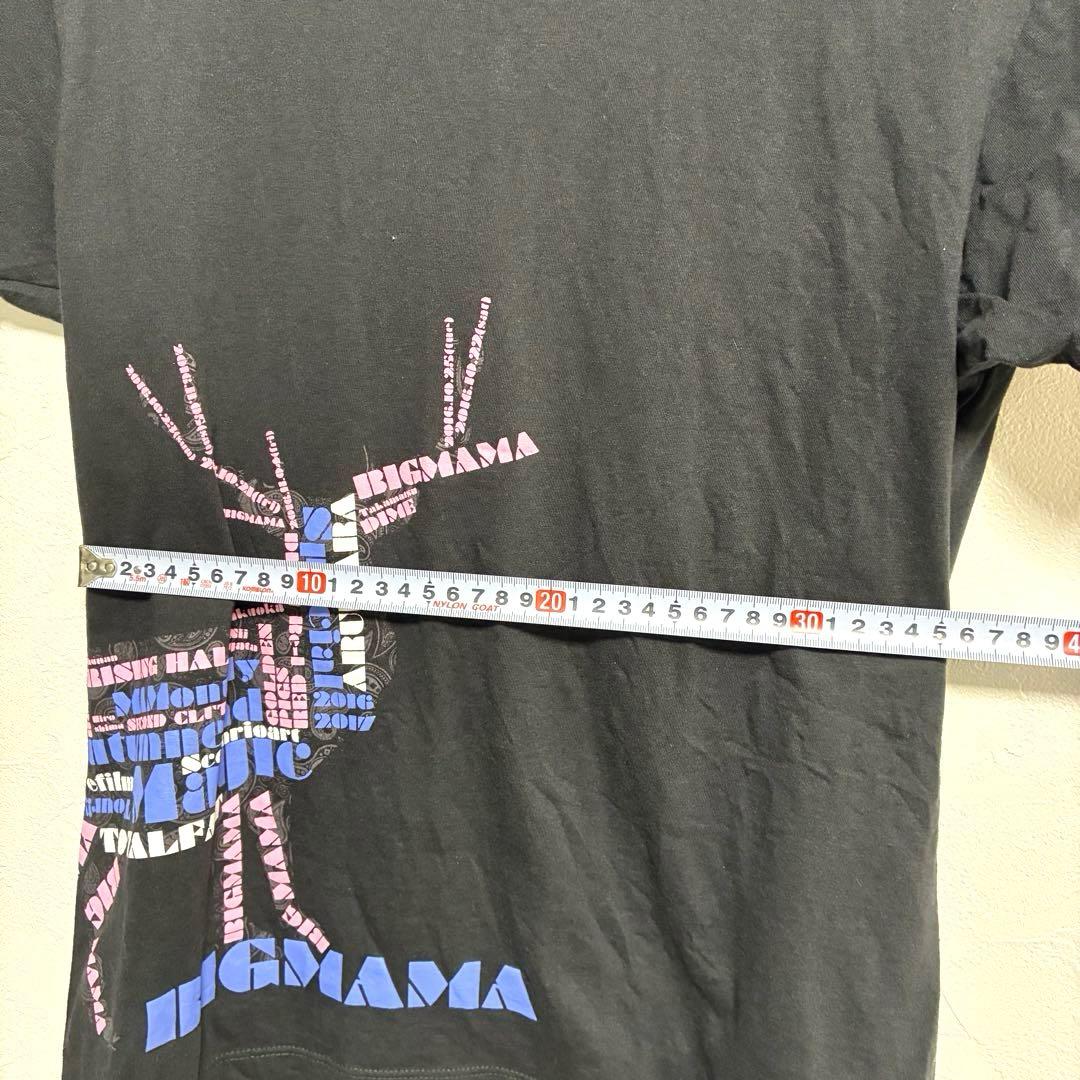 金井政人 BIGMAMA 10周年 ビッグママ ライブツアー Tシャツ Sサイズ
