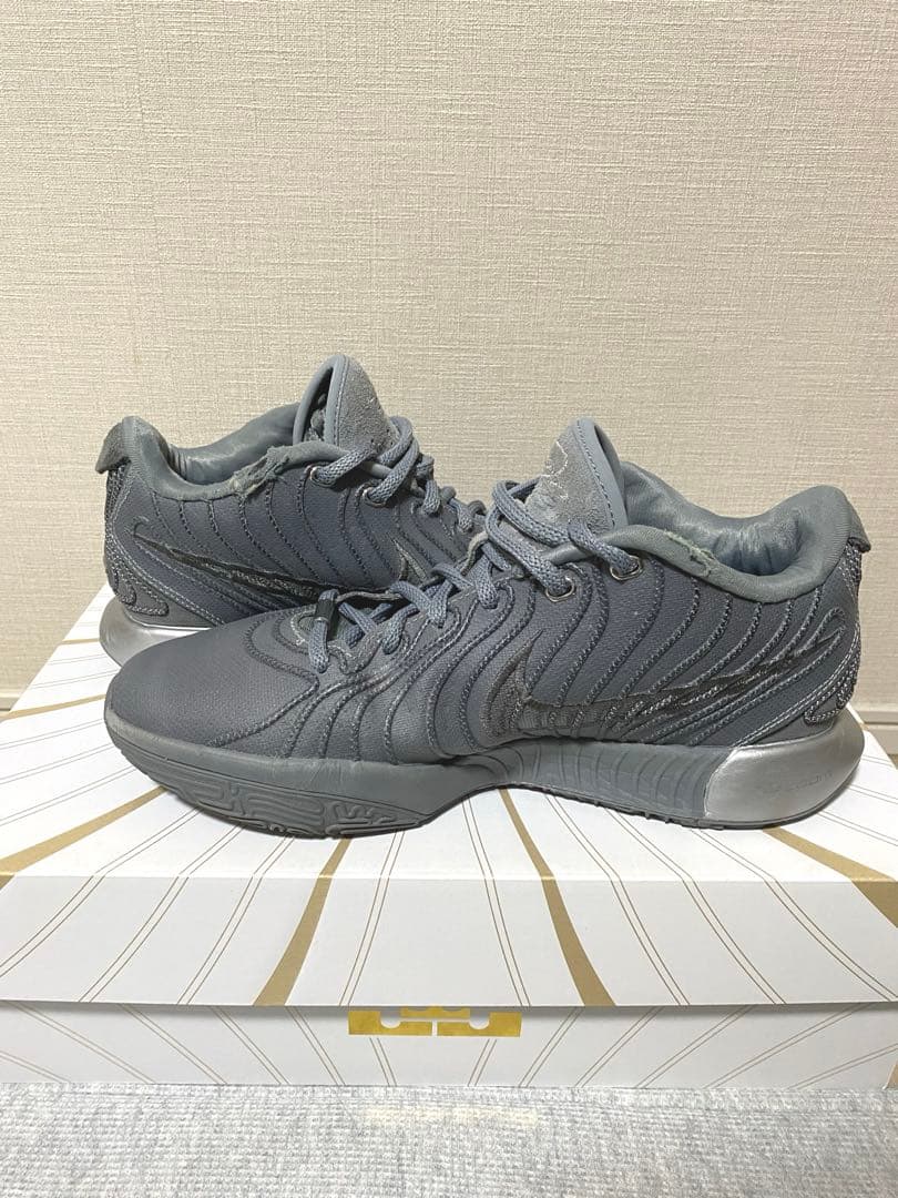 ナイキ　レブロン21 クールグレー　Nike Lebron 21
