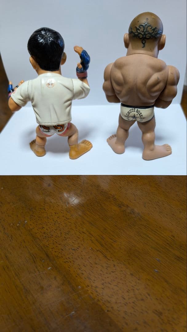 桜庭和志　ヴァンダレイ・シウバ　フィギュア