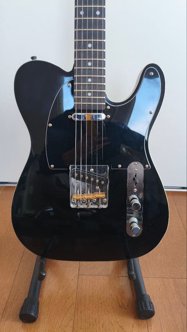 テレキャスター　布袋寅泰　バンビーナ　ダブルバインディング　ノーブランド