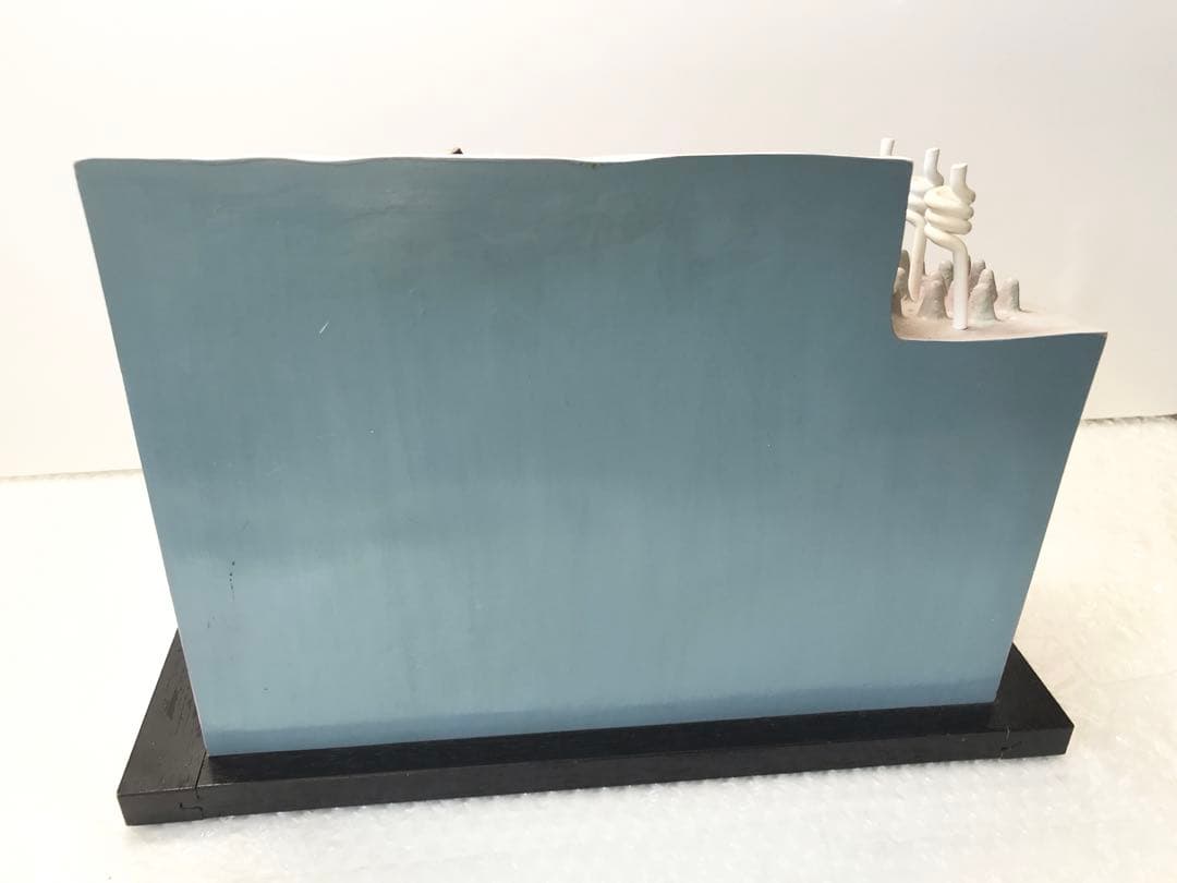 皮膚構造模型　( 株式会社京都科学) ♡