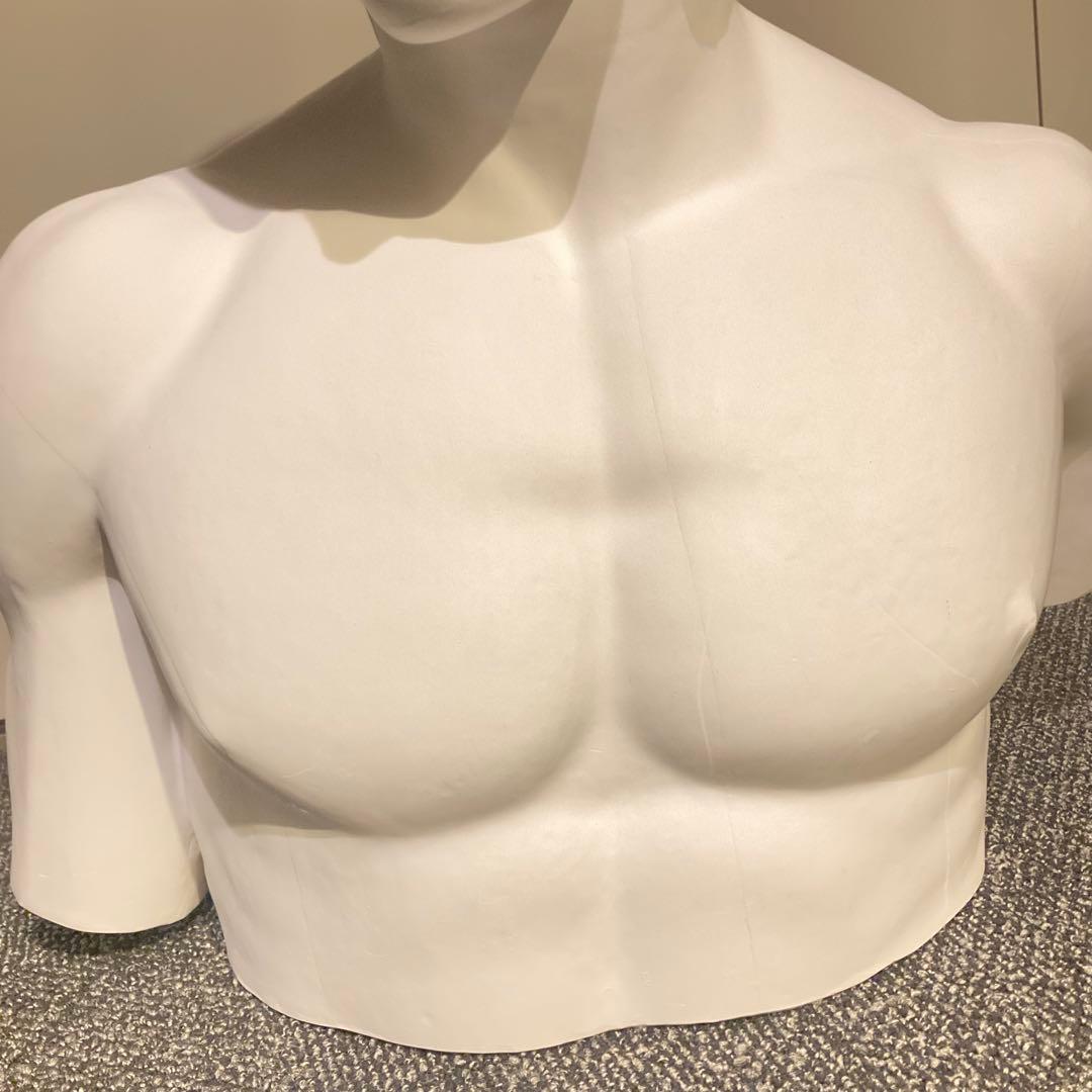 闘神　マルス胸像　石膏像