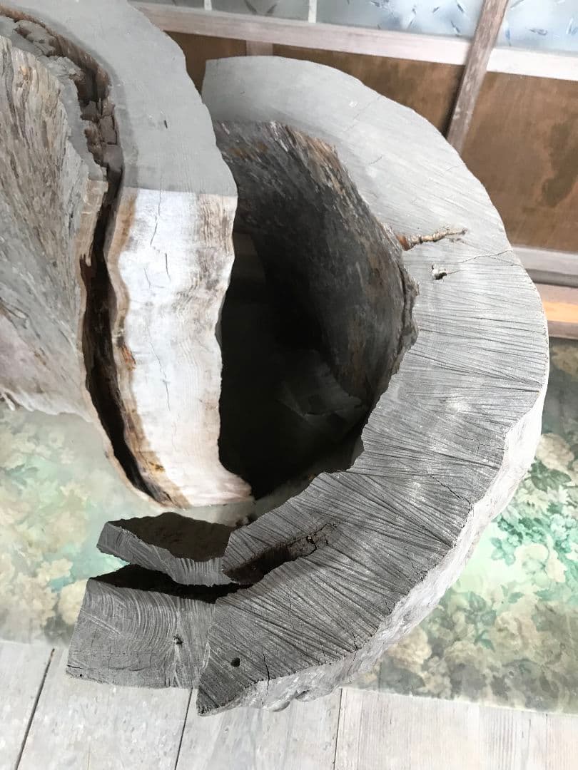 兵庫西部　超超希少　松の古木　アンティーク