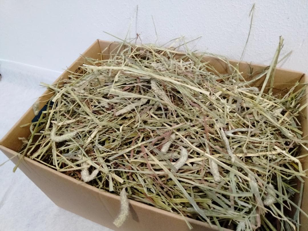 【5/11まで】 カナダ産 チモシー 60kg スーパープレミアム １番刈り