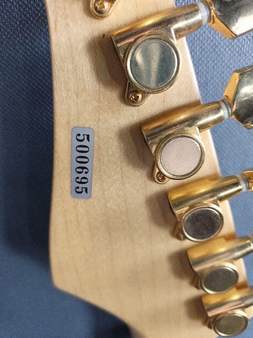 Chatting Bird CAD-630 エレキギター 青緑